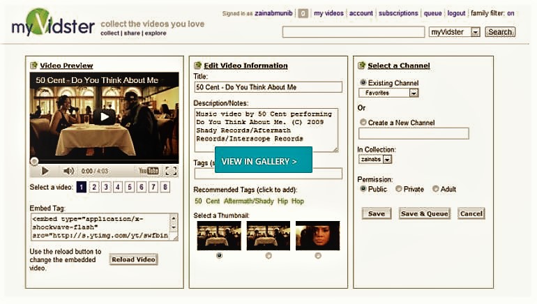 myVidster Extension