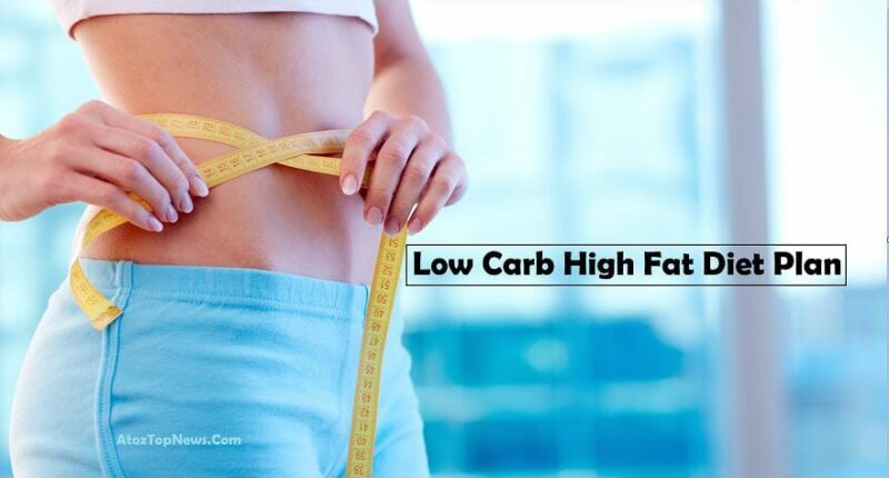 Low Carb High Fat Diet Plan for Weight Loss
