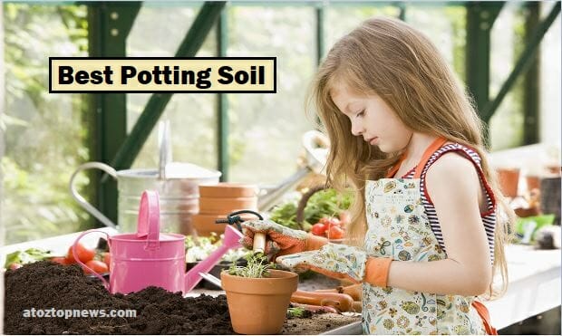 Best potting soil for herbs
